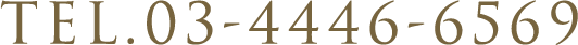 TEL.03-4446-6569