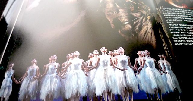 " Swan Lake "  K-BALLET COMPANY Autumn Tour 2011