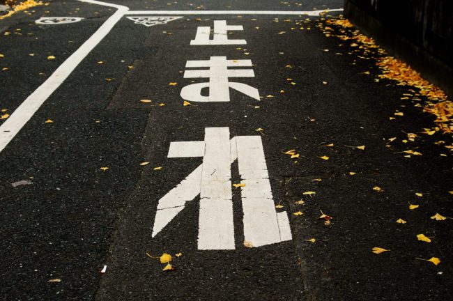 落ち葉がちらほら落ちてる道路にかかれて止まれの白文字