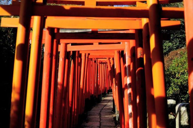 根津神社（乙女稲荷神社の千本鳥居）