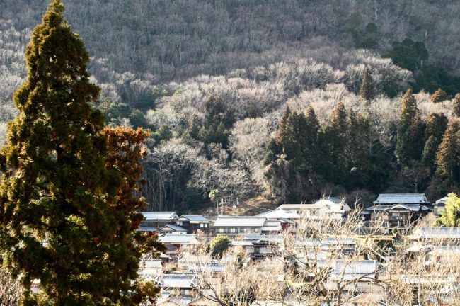 丹波今田町の風景