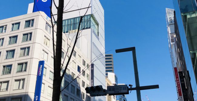 銀座中央通りの街路樹