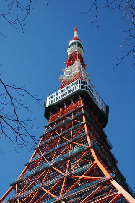 東京タワーの写真