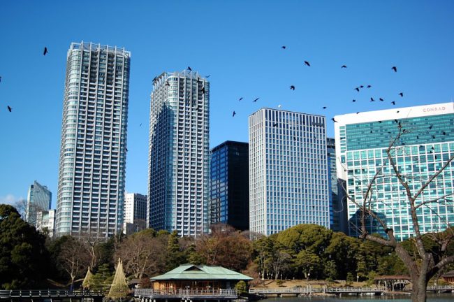 浜離宮恩賜庭園より見た汐留の高層ビル群とカラス