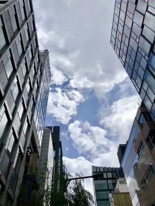 台風10号で不安定な夏になりました。