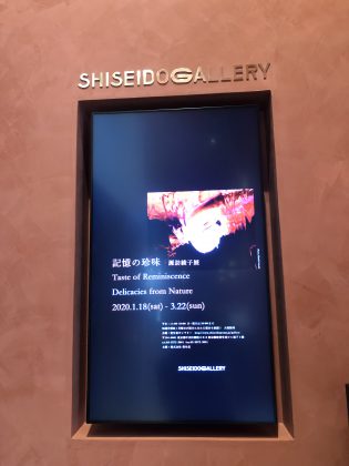銀座資生堂ギャラリーにて開催中。