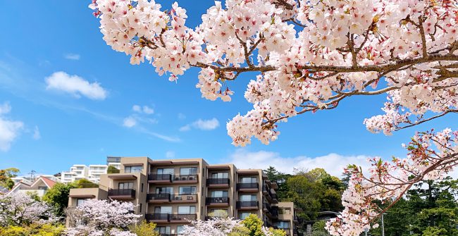 神戸ご相談会中止のお知らせ