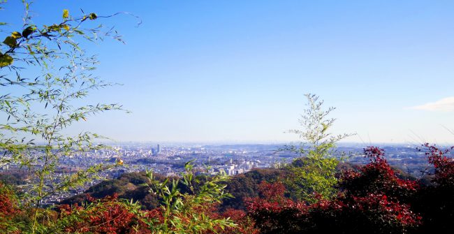 高尾山山頂にて