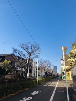 矢沢川の遊歩道は穏やかでした。