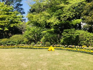 庭の草花も美しかった。