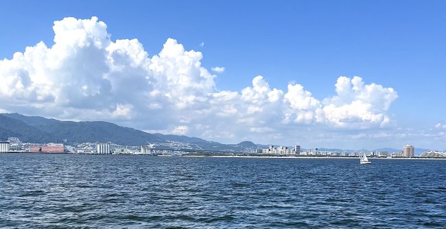 今年の夏休み