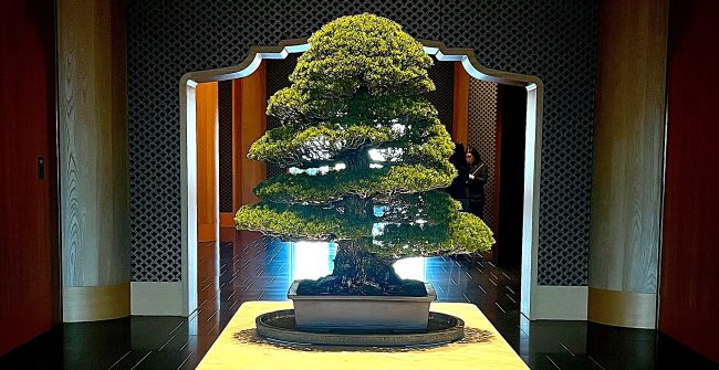 第４回『 La festa di MATTIOLI 』