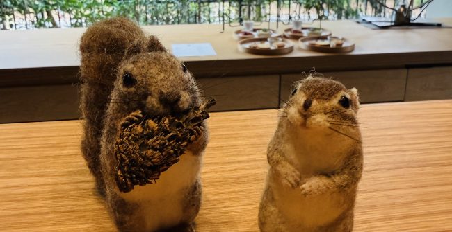 癒し時間〜視覚・味覚・嗅覚〜への刺激。