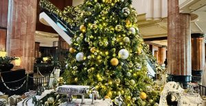 今年のニューフェイス。