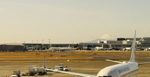 航空会社のおもてなしカップ！