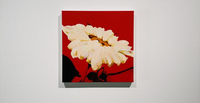 銀座数寄屋橋で”HANA-MI”